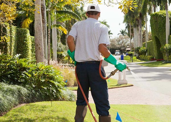 About Richton Park IL Pest Control